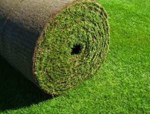 Types Of Sod And Pre-Grown Sod Rolls | Shop Now