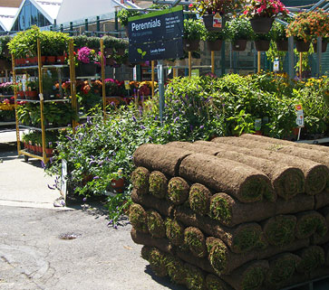 Pallet of sod at local garden center