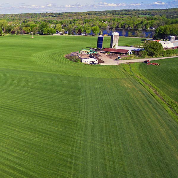 Sod Farm ariel view